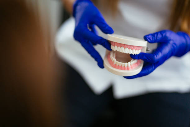 Professional Dental Services in Fort Mohave, AZ